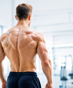 Muscular man training in a modern gym for muscle mass and strength
